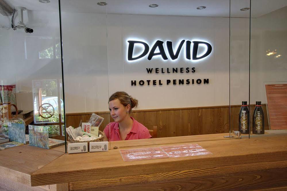 David Wellness Hotel هاراشوف المظهر الخارجي الصورة